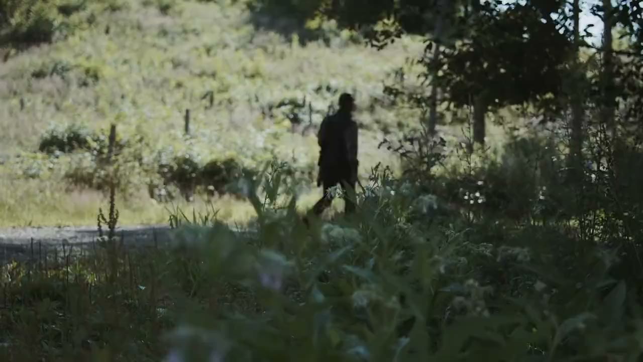 Jäger mit Jagdhund auf einem Waldweg im Morgenlicht – Intro-Video der HUNTERRA-App